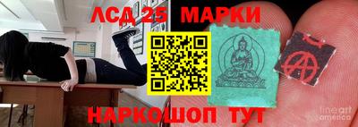 apvp Можга