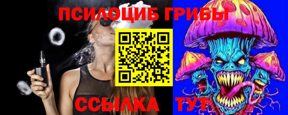 Псилоцибиновые грибы Psilocybe Верхняя Пышма