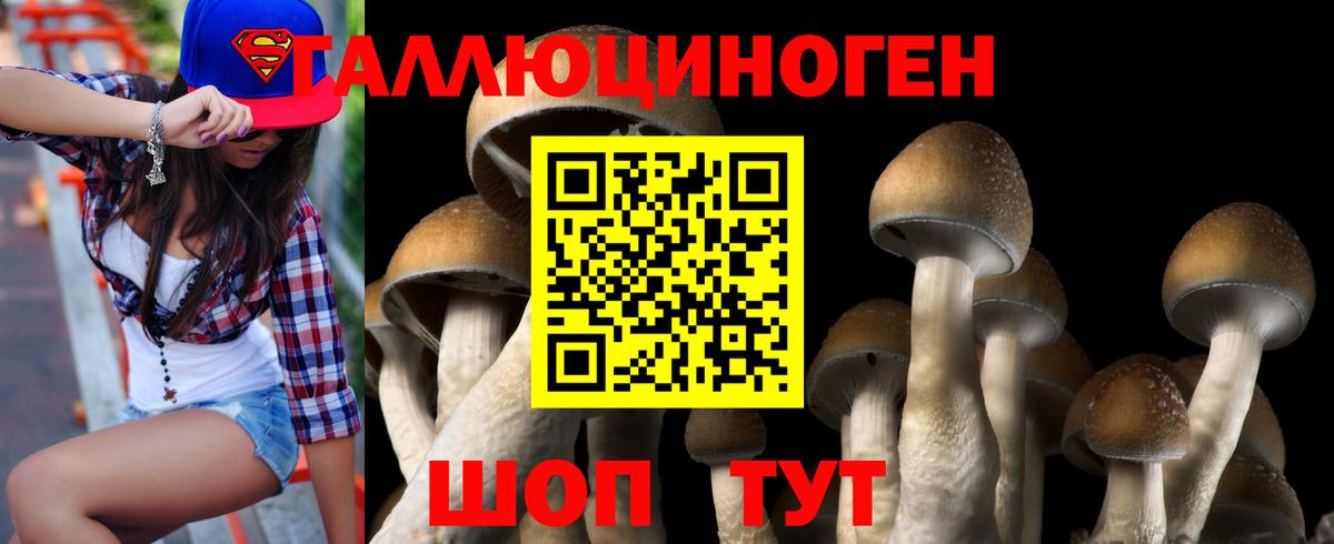 Верхняя Пышма  Галлюциногенные грибы ЛСД  Вход с VPN  Галлюциногенные грибы Cubensis 
